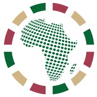 Africa Public Health Foundation Logo