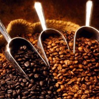Coffe Shop Logo