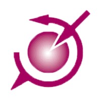 Delft Solids Solutions B.V. Logo