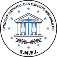 SYNDICAT NATIONAL DES EXPERTS IMMOBILIERS Logo
