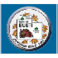 Town Of Busti Logo