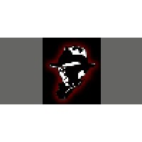 Echo Investigations Logo