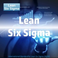 Lean Six Sigma Services Logo