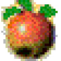Solebury Orchards Logo