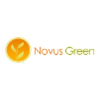 Novus Green Energy Systems Limited Logo