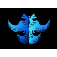 Berunda Capital Management Logo
