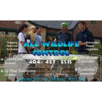 All Wildlife Control Logo