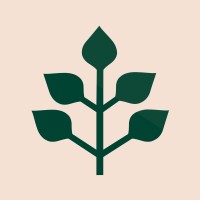 Peak Environment Logo