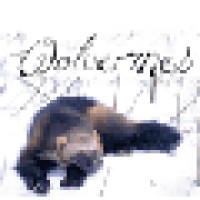 Woods Cross Elementary Logo