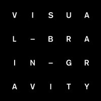 Visual Brain Gravity Logo