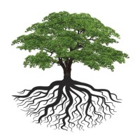 Century Park Associates Logo