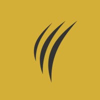 AGENCE LION MEDIAS Logo