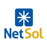 NetSol Brasil Logo