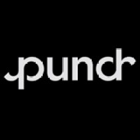 Punch Logo