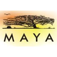 MAYA (Movement For Alternatives And Youth Awareness) Logo