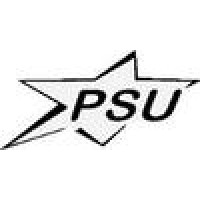 Perfect Stitch Upholstery Logo