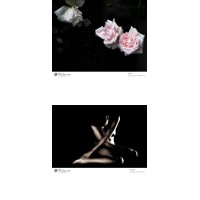 Michel-Peres-Beratung Logo