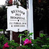 Belvoir Pet Hospital Logo