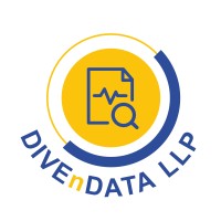 DIVEnDATA LLP Logo