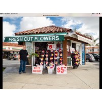 Fresh Cut Flowers Logo