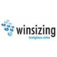 Winsizing Informática Logo