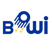 BOWI Project Logo