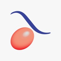 KJPP ANA & Rekan Logo