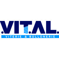VITAL SpA Logo