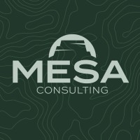 Mesa Consulting LLC Logo