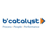 bcatalyst Logo