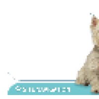 Baywood Animal Hospital Logo
