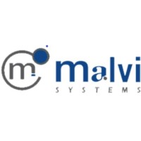 Malvi Systems Logo