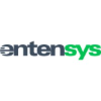 Entensys Corporation Logo