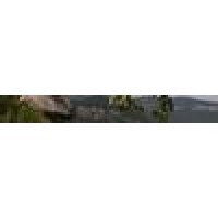 Mullins Farms Logo