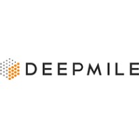 DeepMile Networks LLC Logo