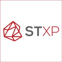 StoneXpressions Llc Logo