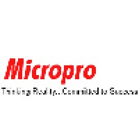 Micro Software Solutions Logo