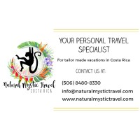 Natural Mystic Travel Logo
