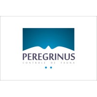 Peregrinus Controle de Fauna Logo
