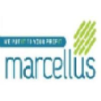Marcellus infotech Pvt Ltd Logo