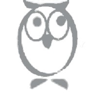 ImperialOwls Consulting Logo