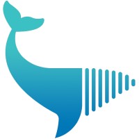 Media Whale Logo