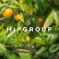 Hipgroup Logo