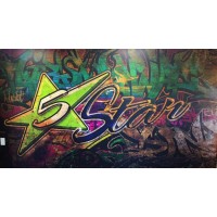 Five Star Life Logo