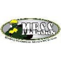 M.E.S.S. Logo