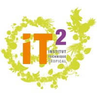 Institut Technique Tropical (IT²) Logo