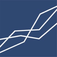 Digital Strategi Skandinavien AB Logo