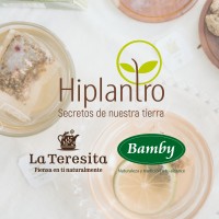 Hiplantro Logo
