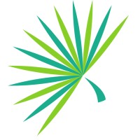 Palmetto Capital Group Logo