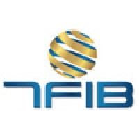 The First International Business Consultancy Logo